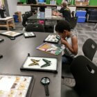 37822426_1838663486192463_5610609563670675456_n